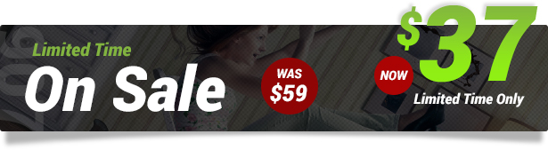 907 - Responsive Multi-Purpose WordPress Theme - 1